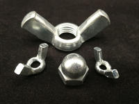 Wing Nut Screw Wing Nuts Amercia Form